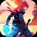 Dead-Cells