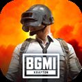 BATTLEGROUNDS MOBILE INDIA