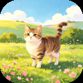 猫猫日记