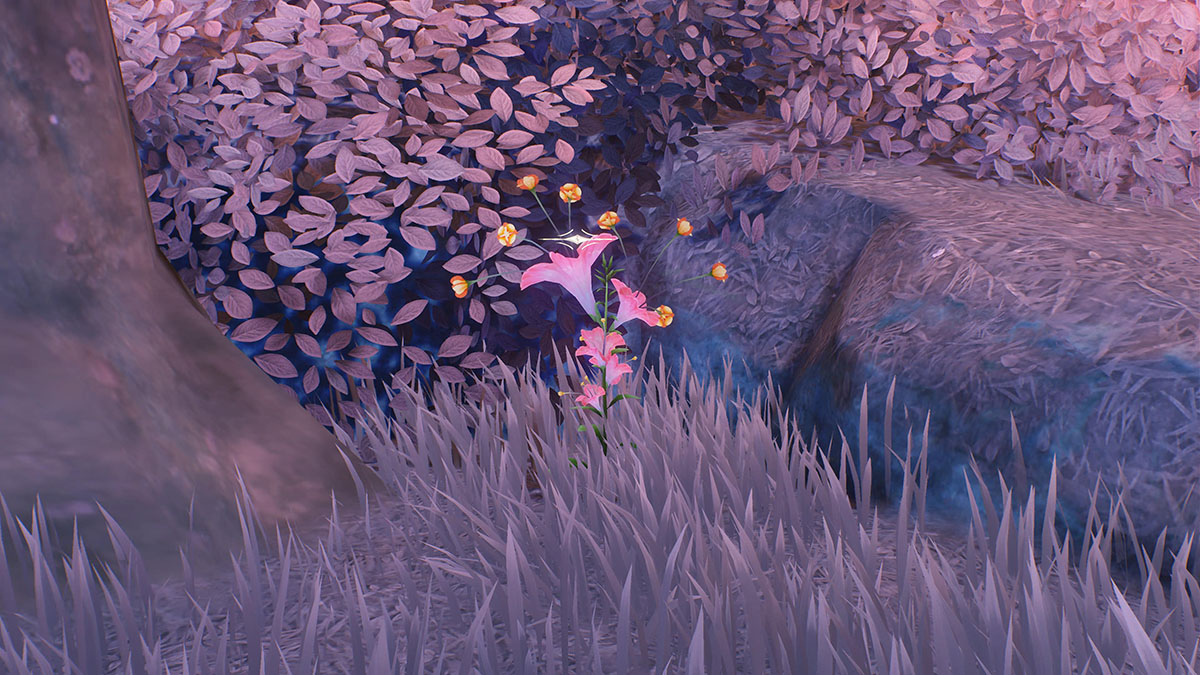 All Firecracker Jewelweed locations in Wuthering Waves: Where to find and farm Phoebe and Roccia's ascension material