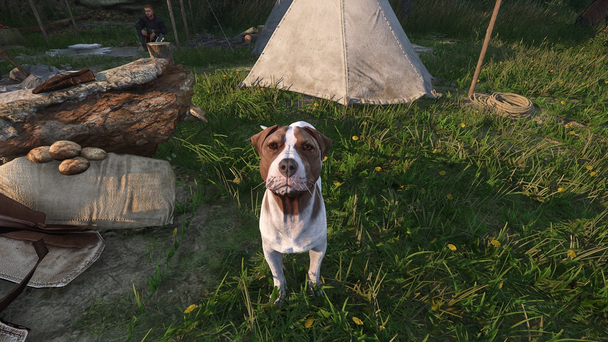 How to find Mutt in Kingdom Come: Deliverance 2