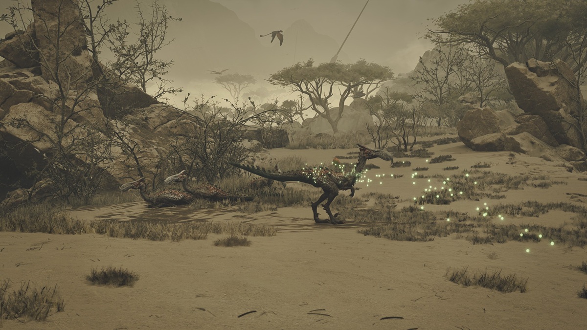 Best place to Slay Talioth for the Desert is Demanding quest in Monster Hunter Wilds