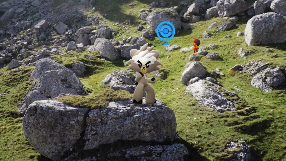 What are your hopes and plans for Go Fest 2025, trainers?