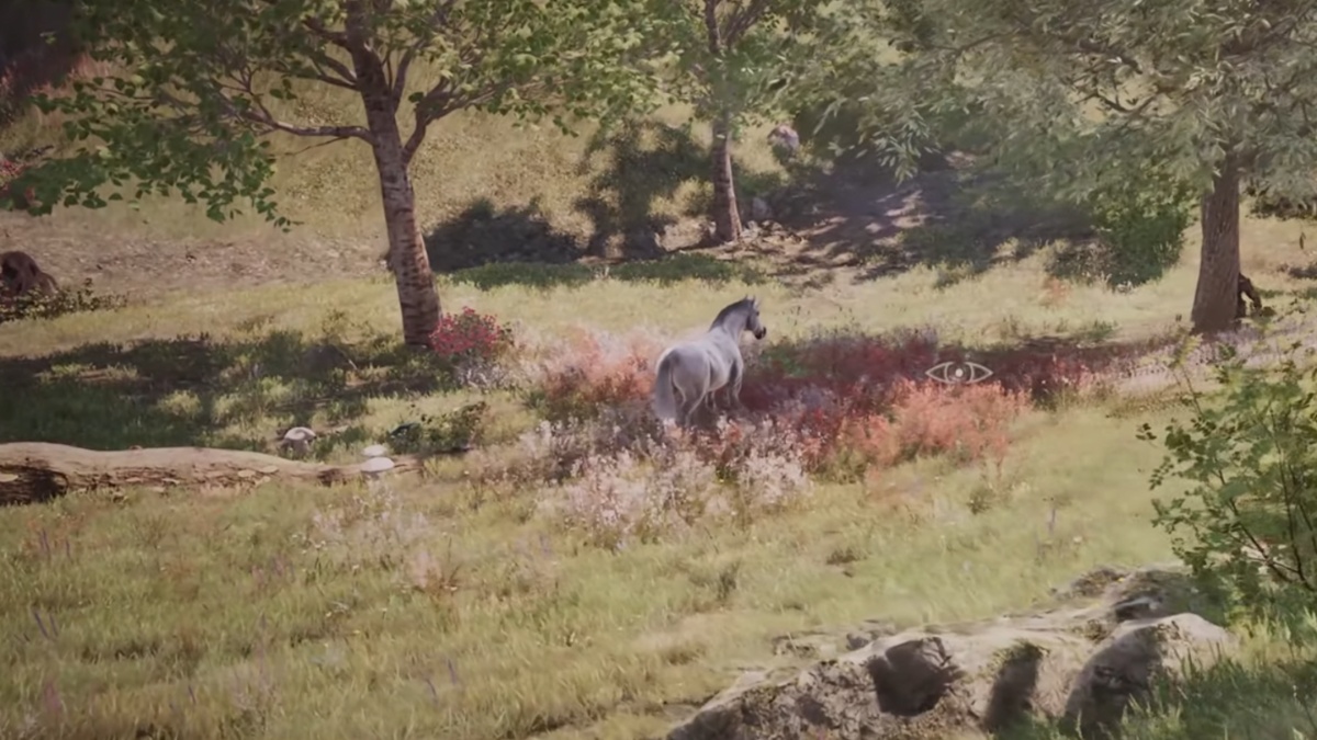 How to find the Unicorn mount in Oblivion Remastered