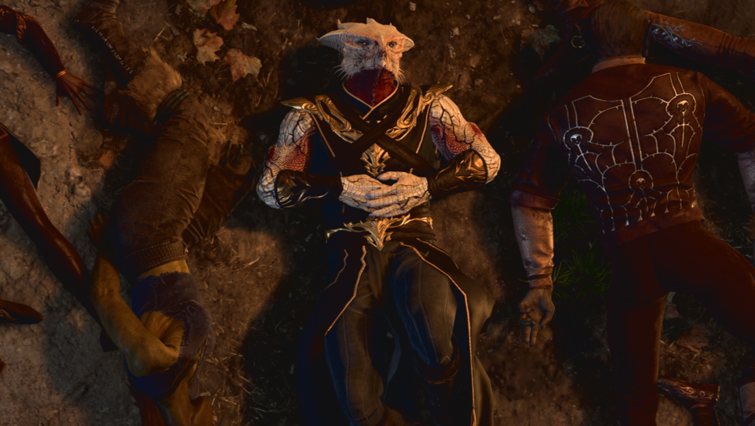 Baldur's Gate 3's final patch is full of bees