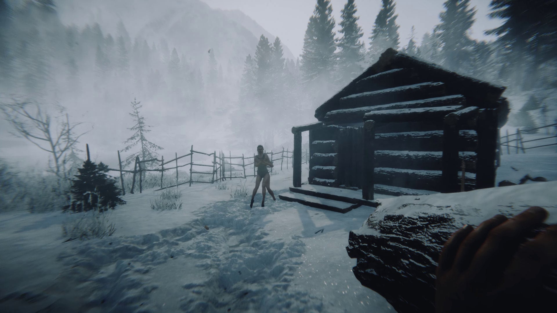 The Forest sequel coming in 2021