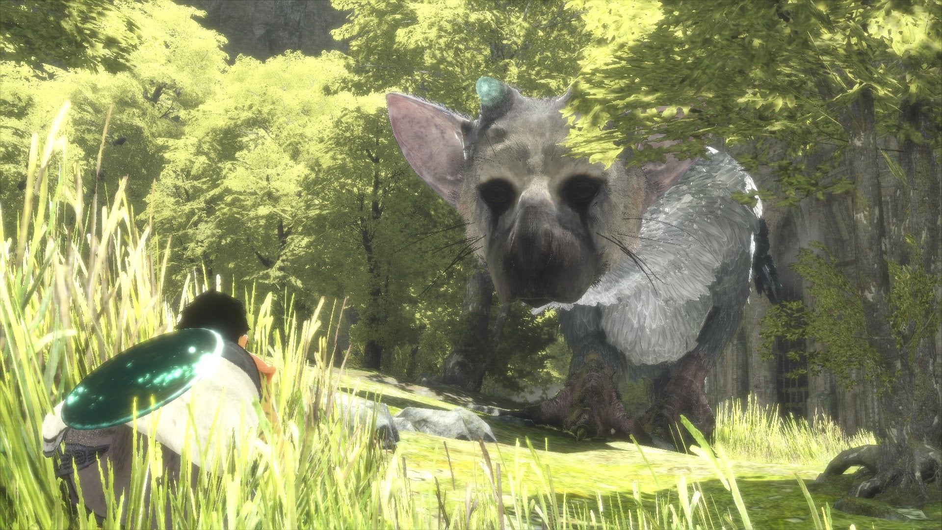 You've waited 9 years for The Last Guardian, so why spoil it by watching the opening cinematic now