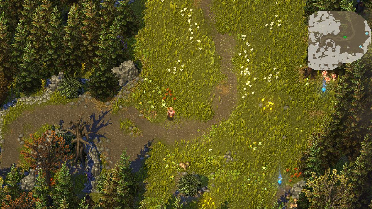 How To Improve Heroes of Hammerwatch 2 Steam Deck Performance