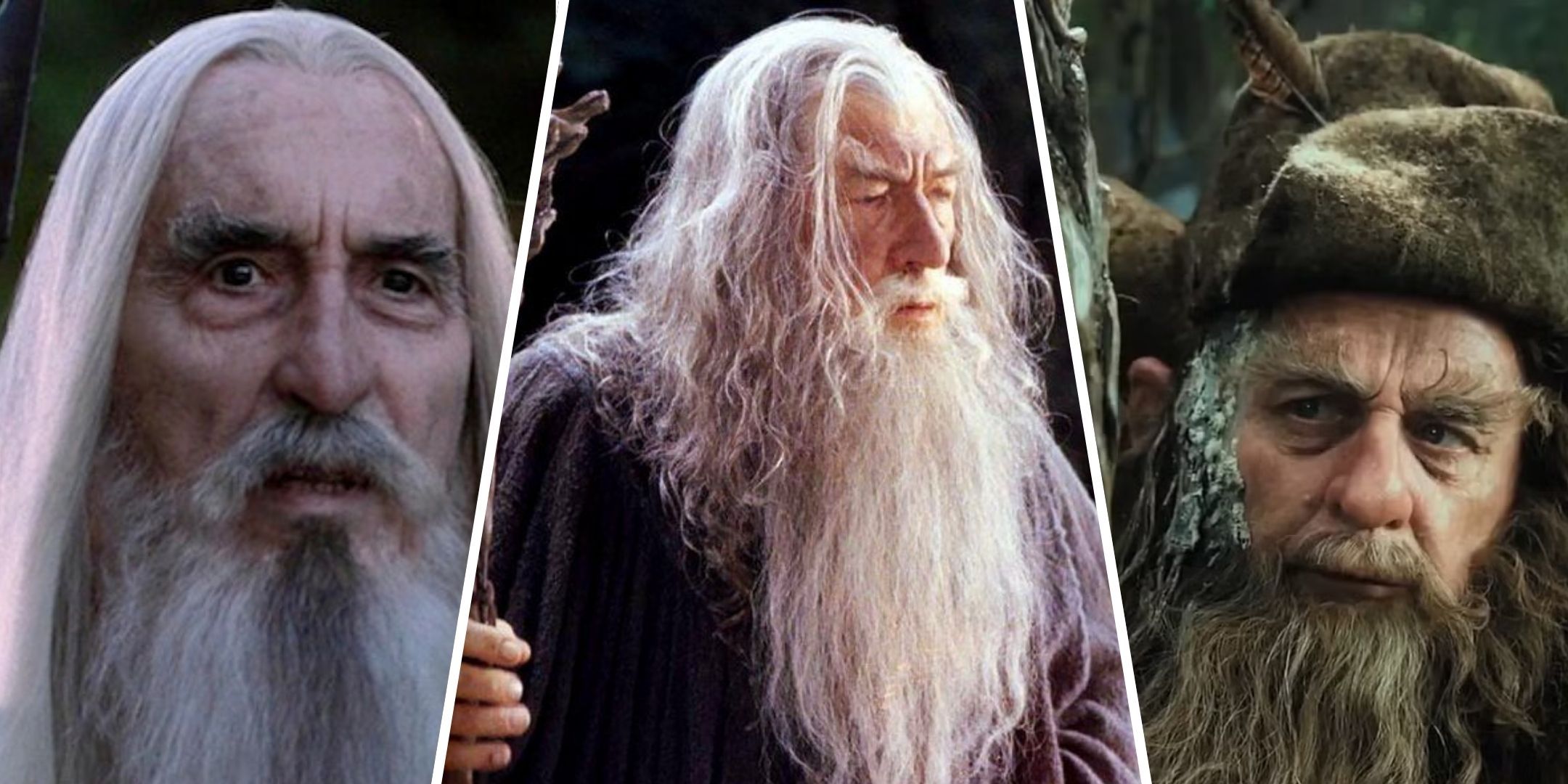 Lord Of The Rings: The Order Of Wizards, Explained