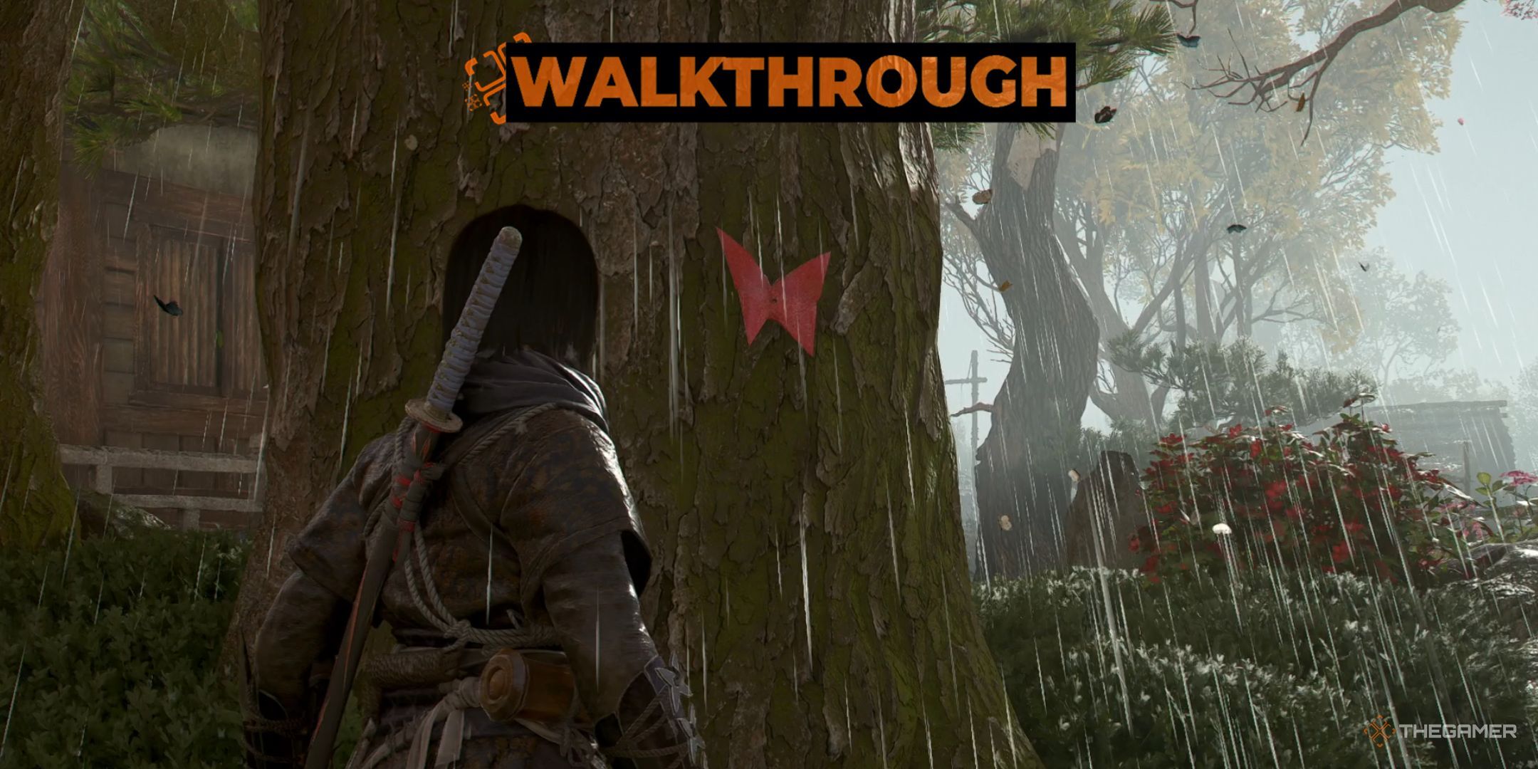 All Target Locations In The Butterfly Collector In Assassin's Creed: Shadows