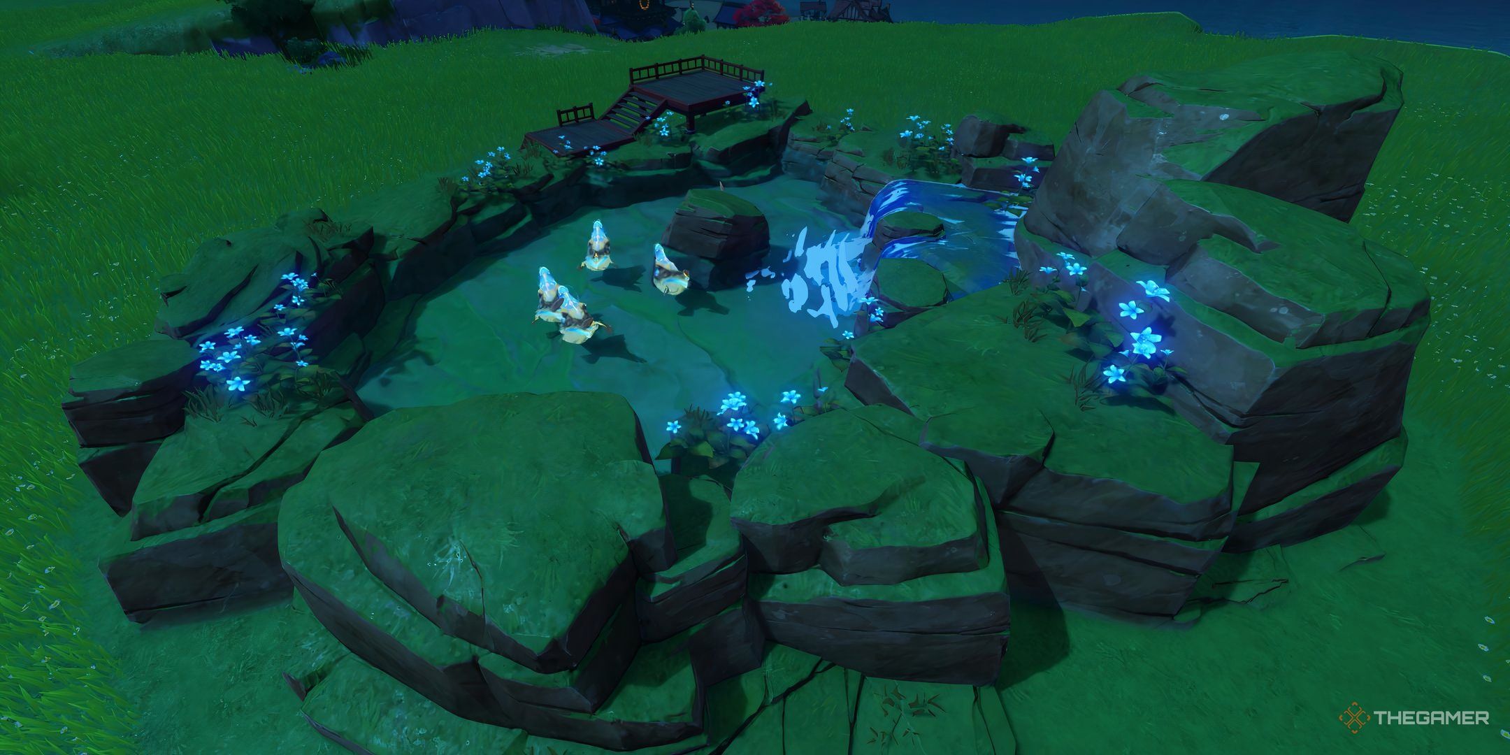 Everything You Need To Know About Invasive Fish Wrangler In Genshin Impact