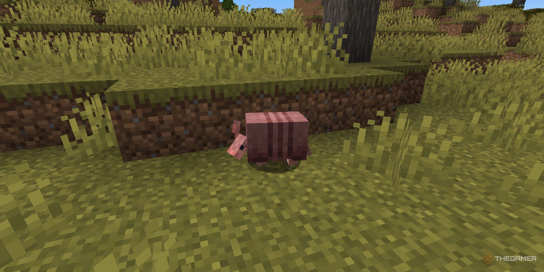 Minecraft: What Do Armadillos Eat?