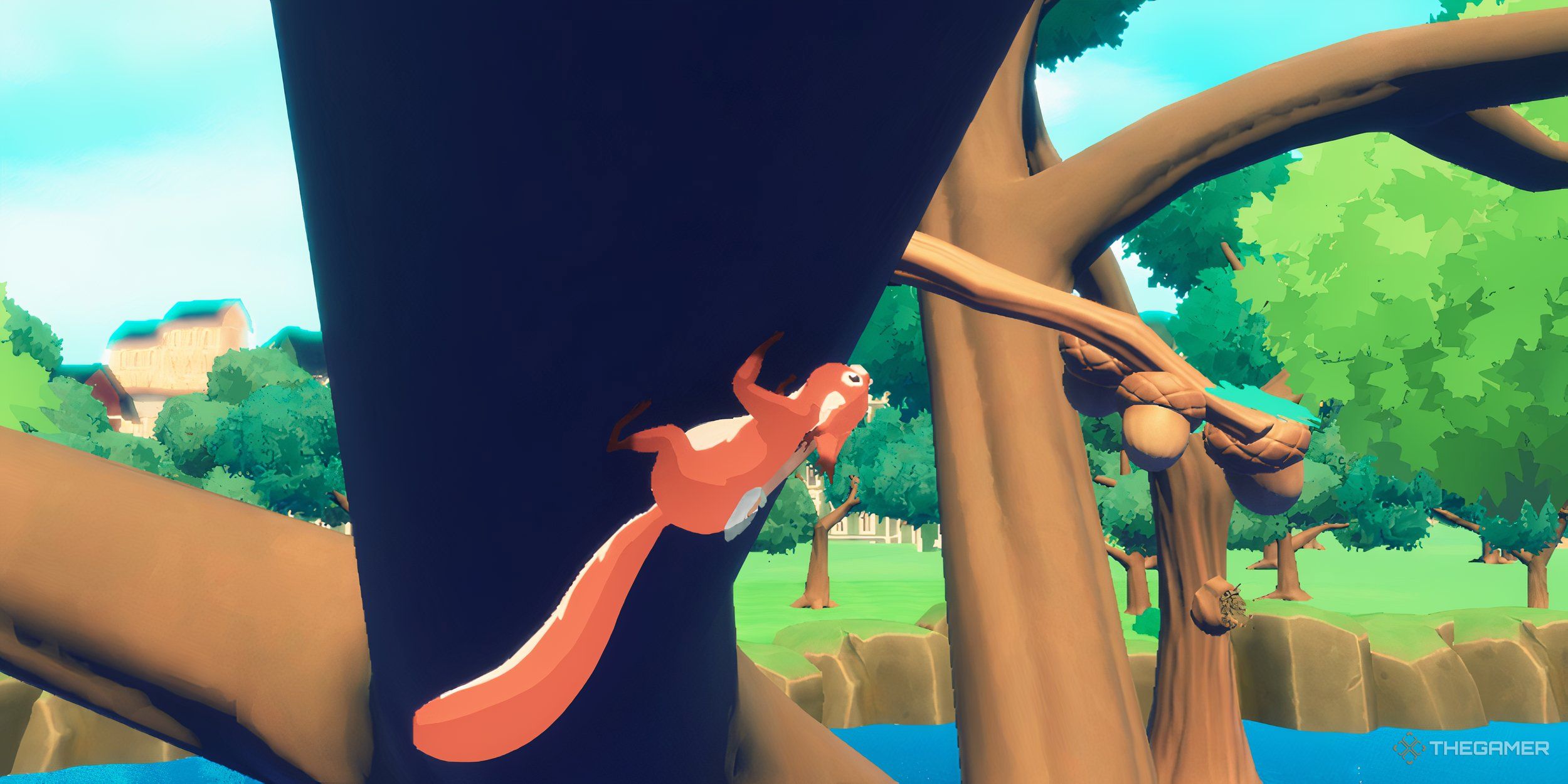 Squirreled Away: All Cache Locations