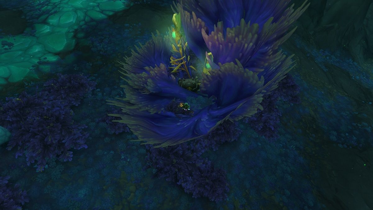 WoW Dragonflight: How to Open Dreamer's Bounty
