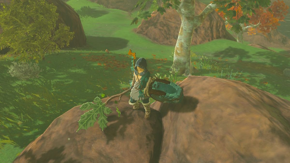 Zelda: Tears of the Kingdom — How to Make Korok Fans in TotK