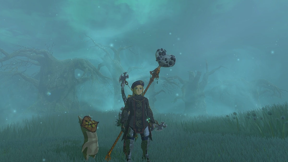 Zelda: Tears Of The Kingdom (TotK) — Maca's Special Place Ninjis Shrine Guide