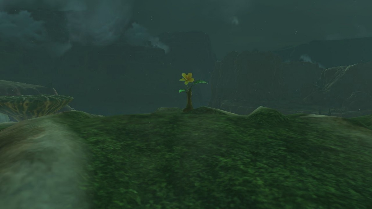 Zelda: Tears of the Kingdom - All Hyrule Ridge Korok Seed Locations