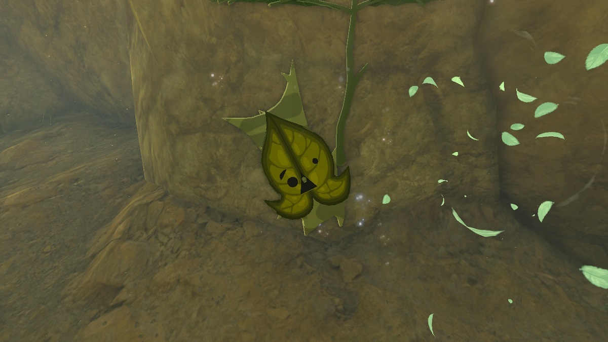 Zelda: Tears of the Kingdom - All Tabantha Frontier Seed Locations