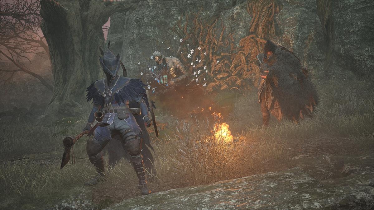 Lords of the Fallen: How to Get More Vestige Moths