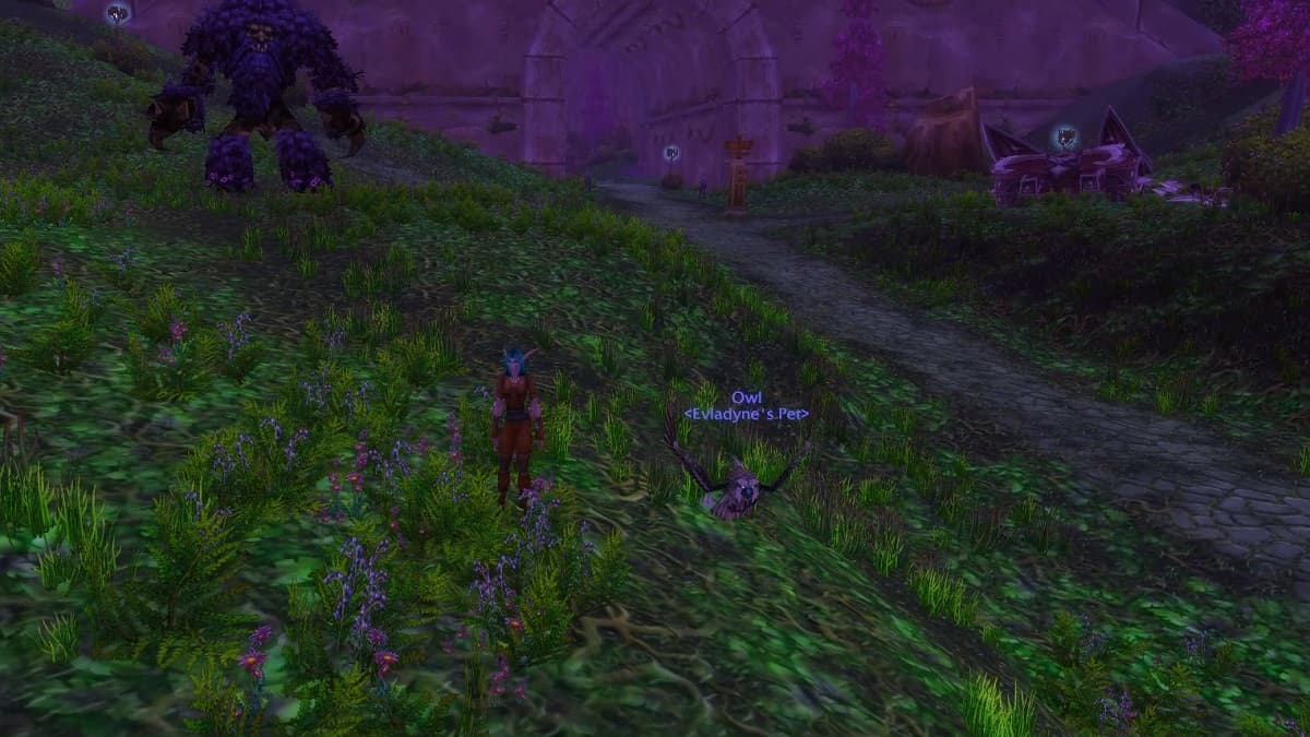 WoW Classic: How to Feed Your Pet as a Hunter in Season of Discovery and Hardcore