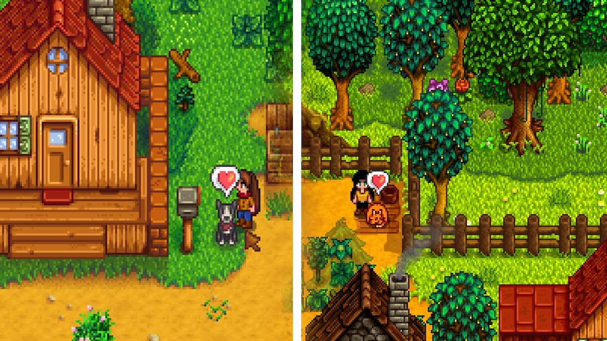 How to Get Multiple Pets in Stardew Valley 1.6