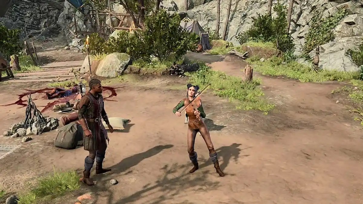 Best Bard Races in BG3