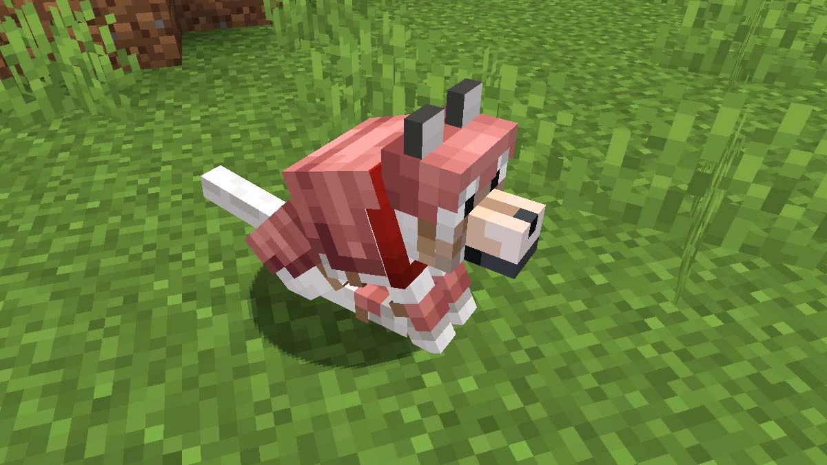How to Craft, Use, and Dye Wolf Armor in Minecraft