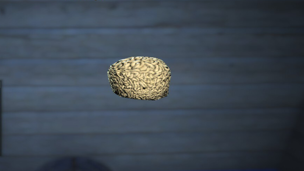Fallout 76 Brain Fungus Locations
