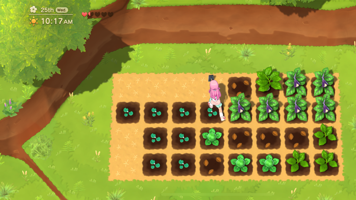 All Tools and How to Get Them in Harvest Moon Home Sweet Home