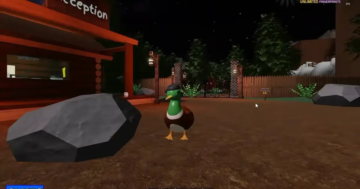 Detective Duck SUMMER CAMP Walkthrough Guide (Roblox)