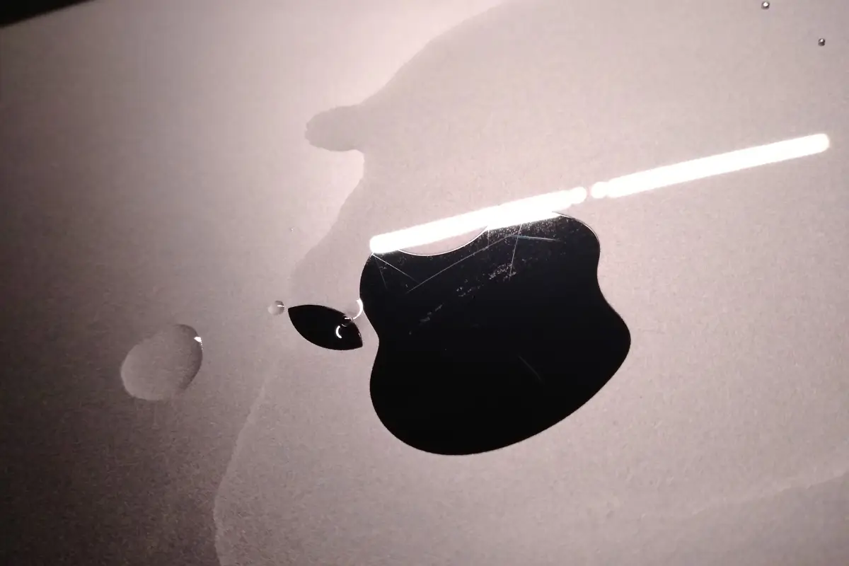 Apple Music wird teurer: War der Wechsel von Spotify also umsonst? - Check-App