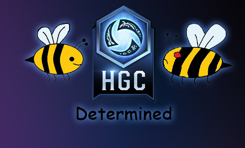 Road to HGC - An interview with European team Two Bees Determined