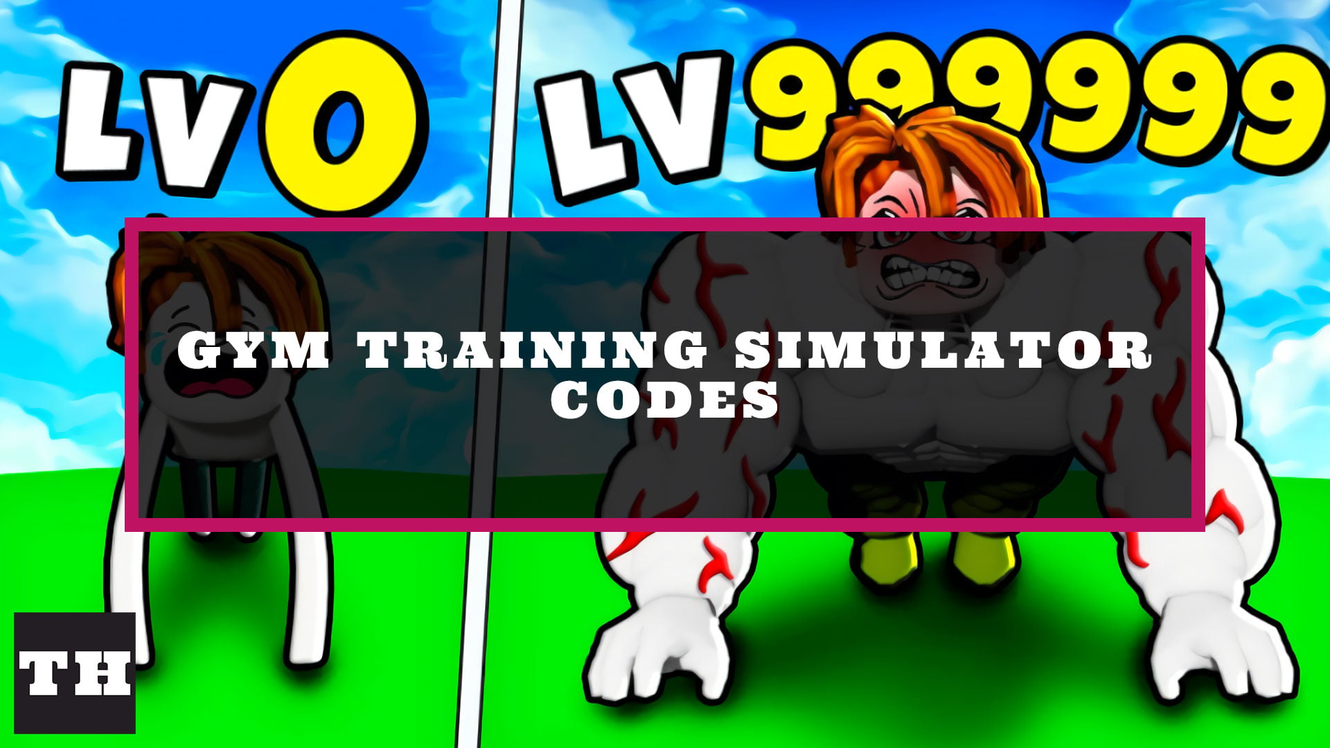 Gym Training Simulator Codes